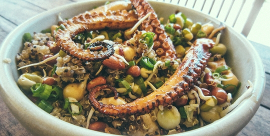 paprika grilled octopus with quinoa + sprouts